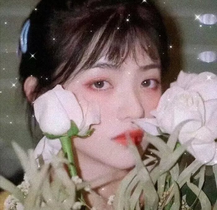 十四孤儿闯江湖