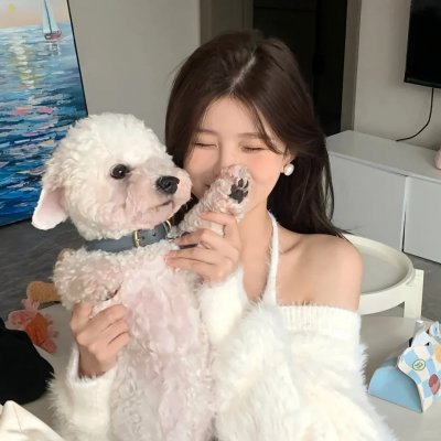 最后的情书